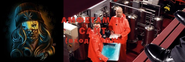 дмт Нея