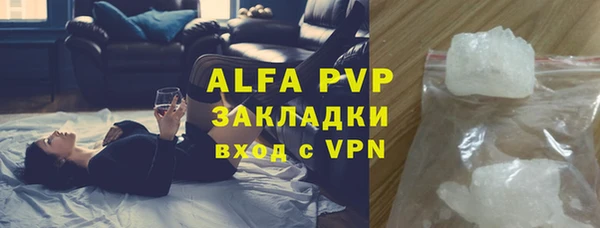 гашик Нефтекумск