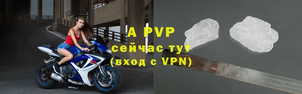 дмт Нея