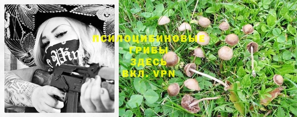 гашик Нефтекумск