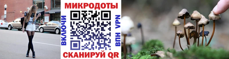 где купить наркоту  Конаково  Псилоцибиновые грибы ЛСД 