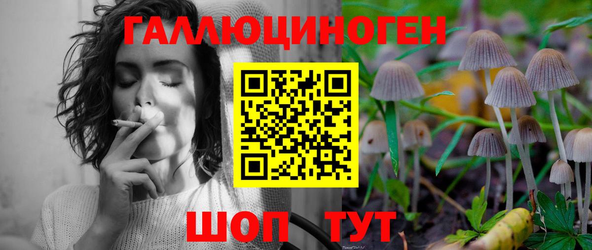Псилоцибиновые грибы мухоморы Конаково