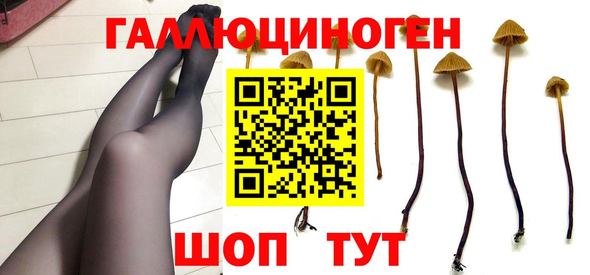 Псилоцибиновые грибы MAGIC MUSHROOMS  Вход с VPN  Псилоцибиновые грибы MAGIC MUSHROOMS  Конаково 